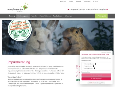 impulsberatung Thumb