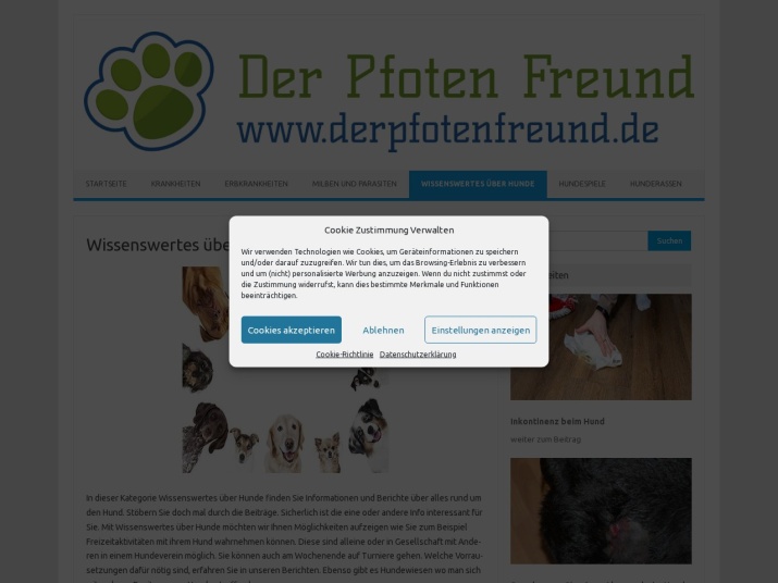 https://www.derpfotenfreund.de/wissenswertes-ueber-hunde/