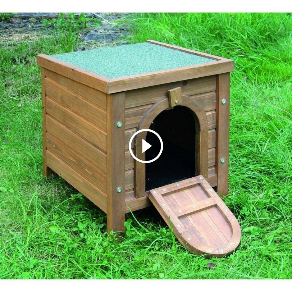  Kleintierhaus für Meerschweinchen & Co. - Ratgeber 2022 Thumb