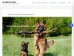 hundesportarten Thumb