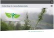 Gesundheit und Natur - Irbis Onlineshop für Naturprodukte, Naturkosmetik, Tierpflegeprodukte