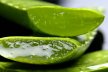 Details von 10 gesunde Gründe Aloe Vera Pflanze zu verwenden Thumb