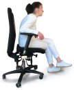 Rückenschmerzen beim Sitzen - ERGOFIT Thumb