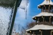 Details von Biergarten Chinesischer Turm im Englischen Garten Thumb