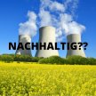 Details von Starker Lobbyismus: Kann und darf Atomkraft grün sein? Thumb