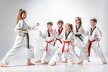 Taekwondo / Karate Remscheid Thumb