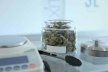 Details von Cali weed Bestellen - Cannabis Man Thumb