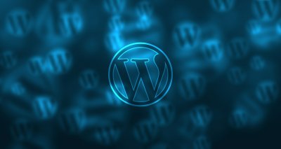 WordPress Support und schnelle Hilfe für Ihre Website 