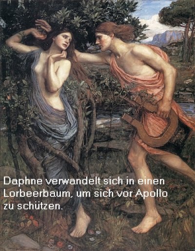 Daphne ist in der griechischen Mythologie eine Baumnymphe