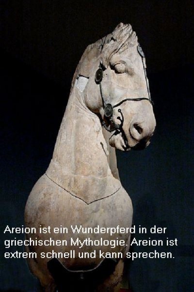 Areion ist in der griechischen Mythologie ein Wunderpferd