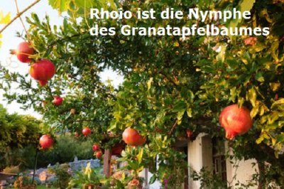 Rhoio ist in der griechischen Mythologie die Nymphe des Granatapfelbaumes