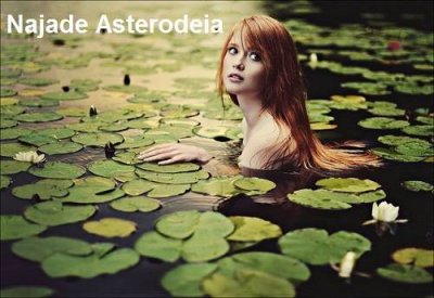 Asterodeia ist in der griechischen Mythologie eine kaukasische Najade