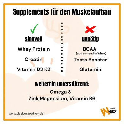 Welche Supplements für Muskelaufbau wirklich entscheidend sind