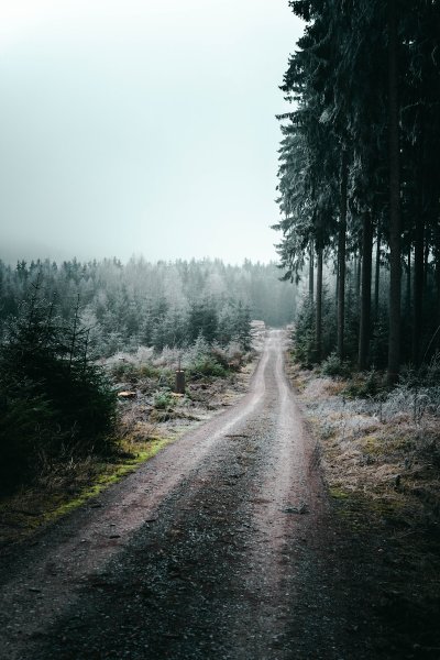 Filmproduktion Thüringen - Videoproduktion & Kameramann: WIEL